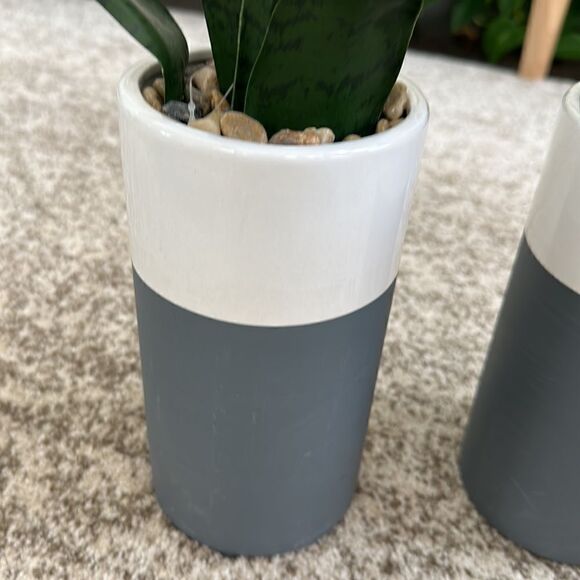 Homegoods 2 Faux Snake Plant Vases - Picture 2 of 4